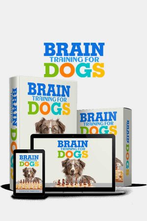 Brain Training For Dogs